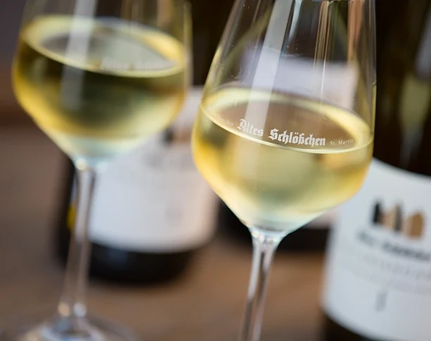 Weingläser mit Weißwein